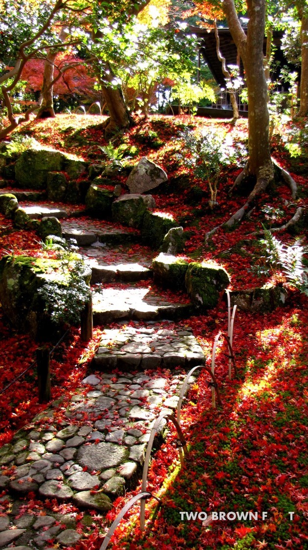 Steps lined red.