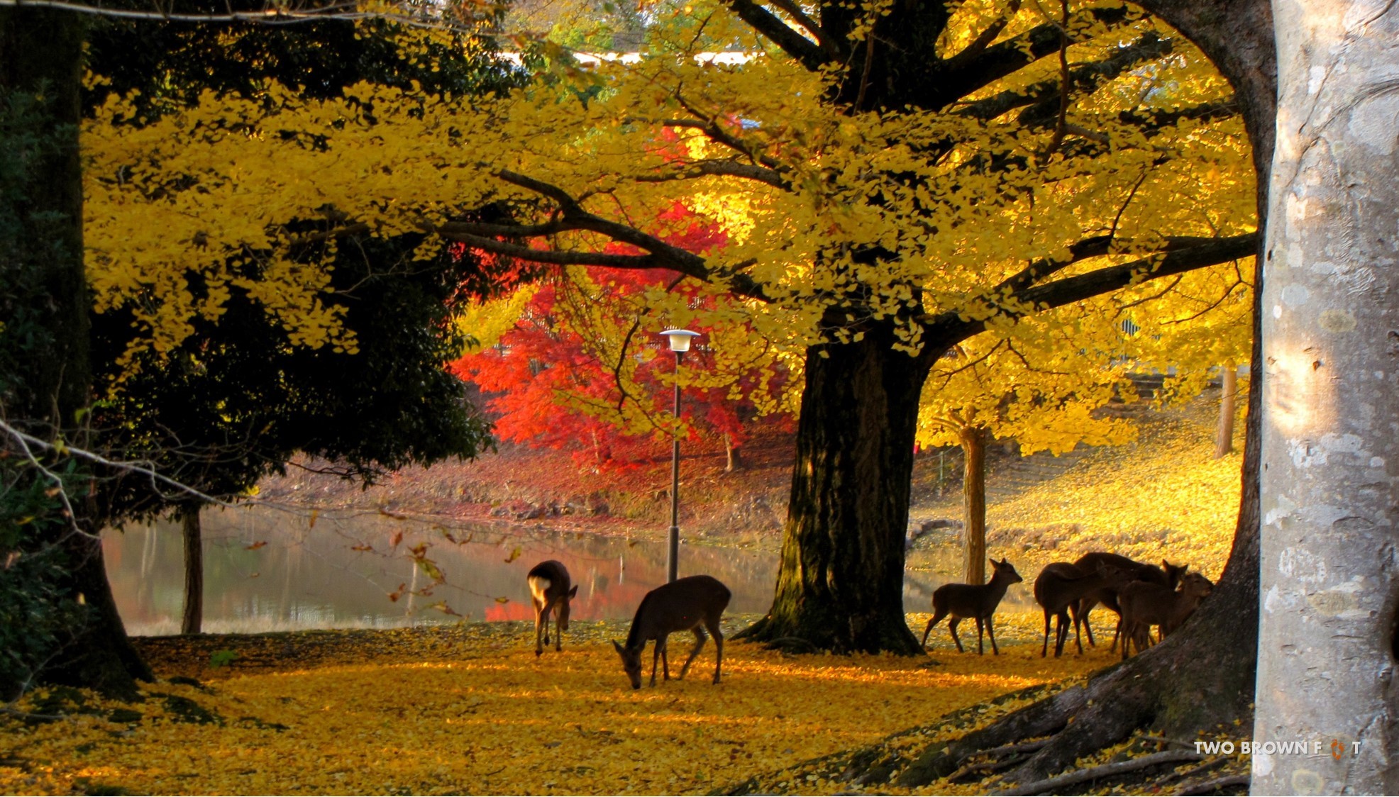Wonderland. Think we found it!