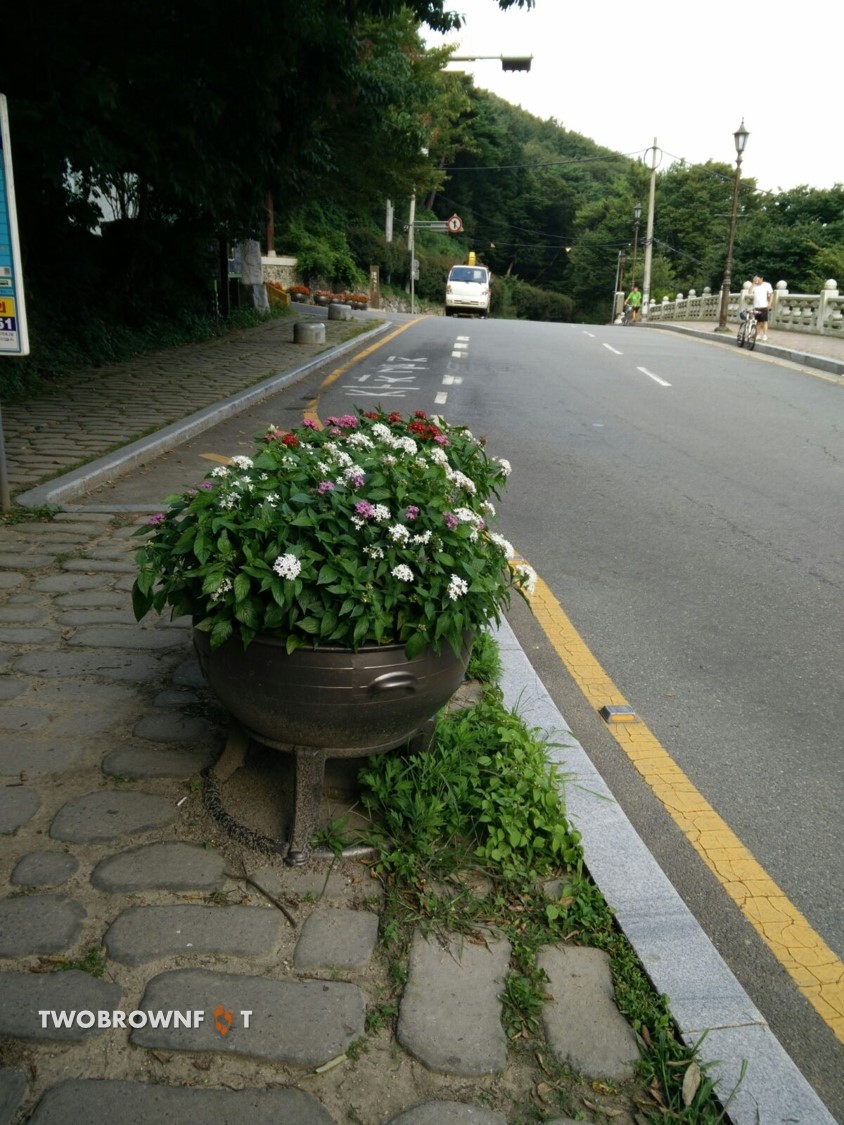 Picture19