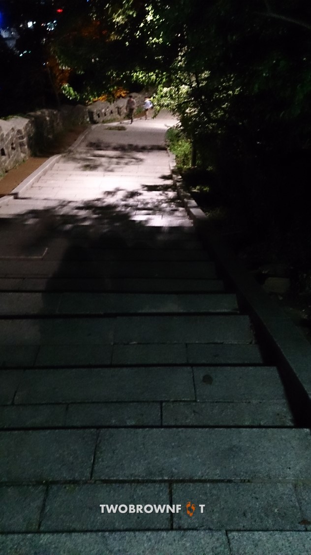 Picture21
