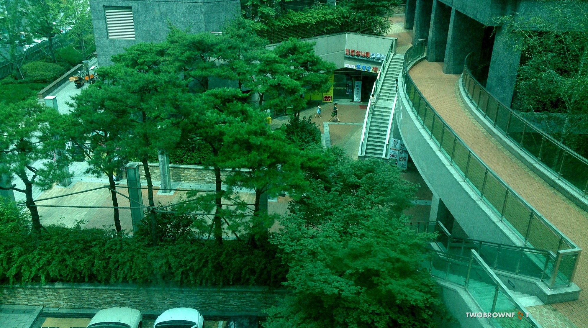Picture3