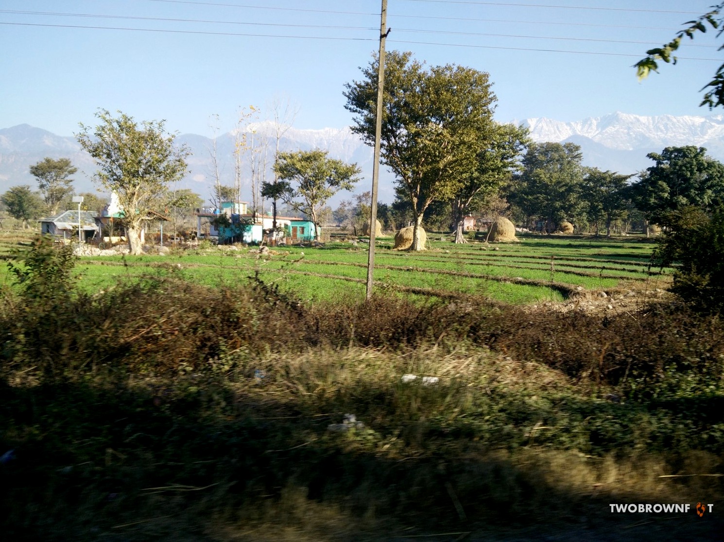 Picture10