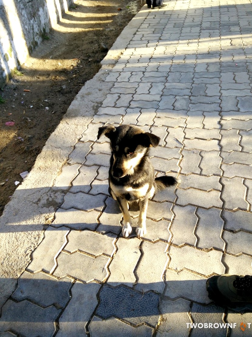Picture23