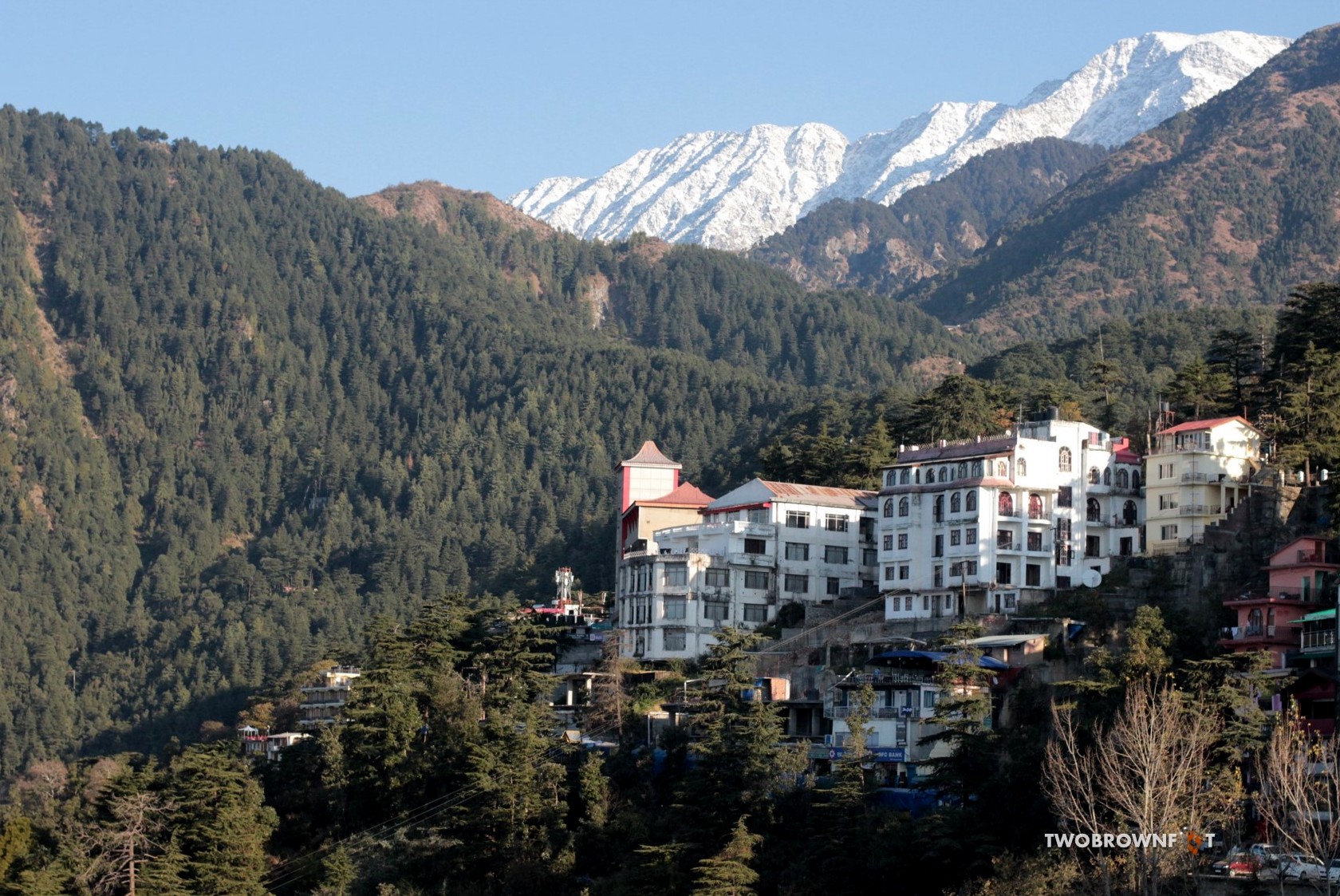Picture4