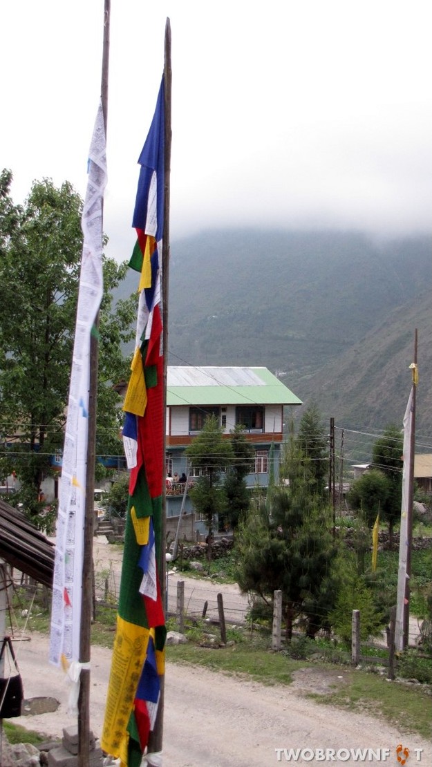 Picture28