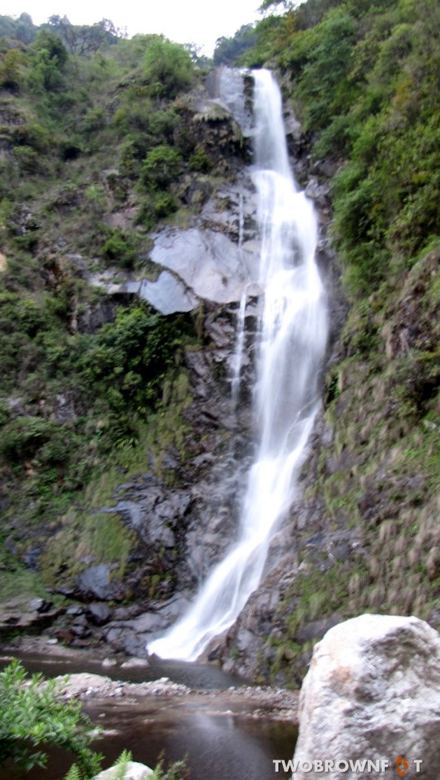 Picture4