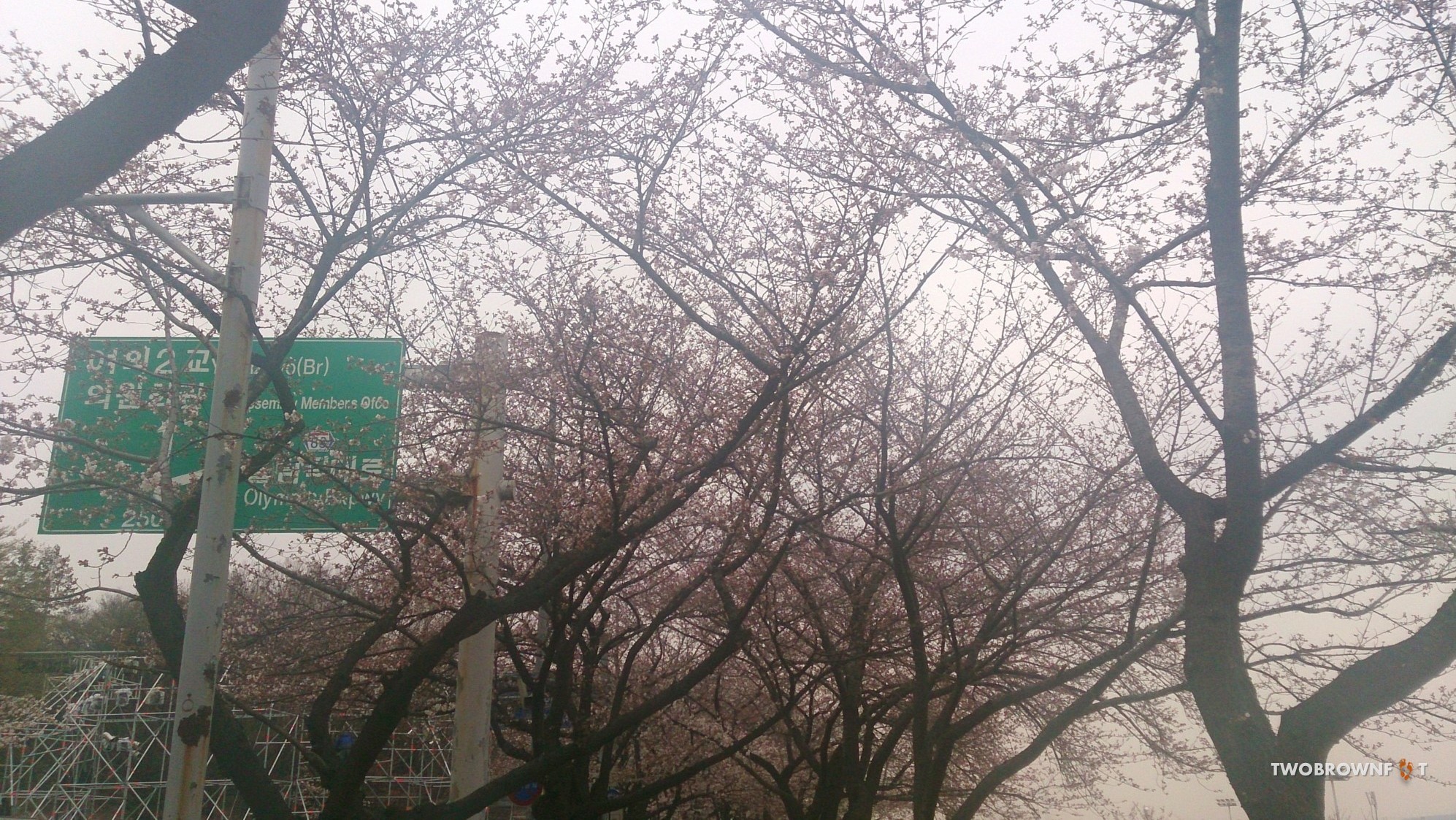 Picture8