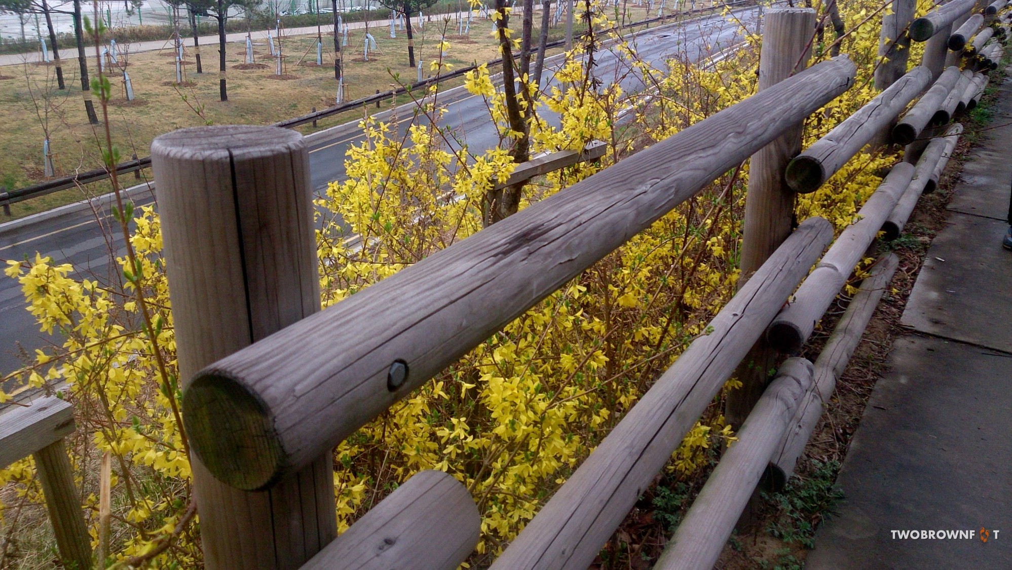 Picture9