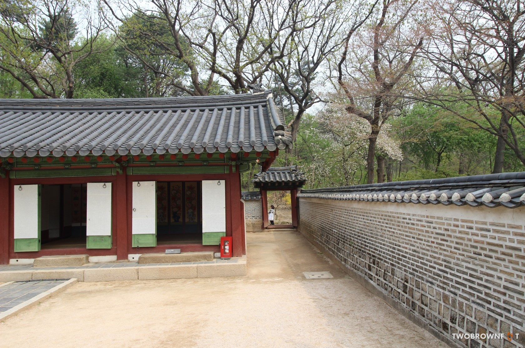 Picture5