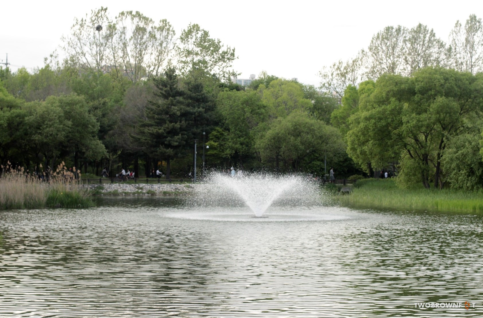 Picture5