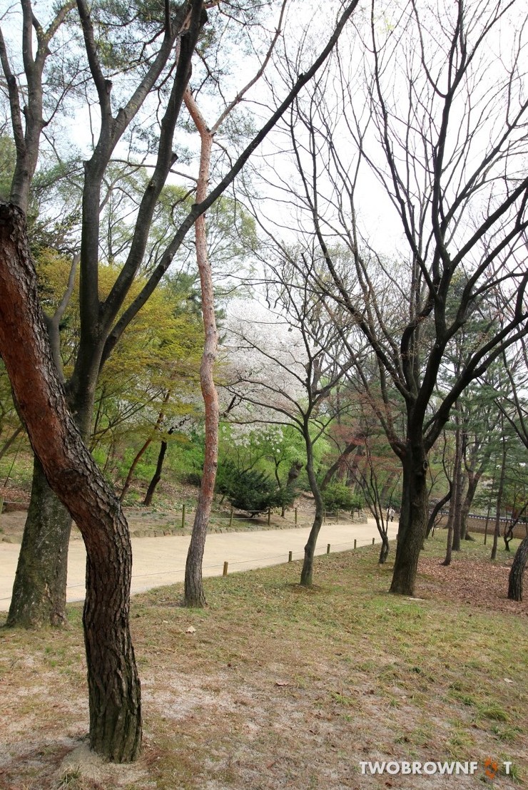 Picture9