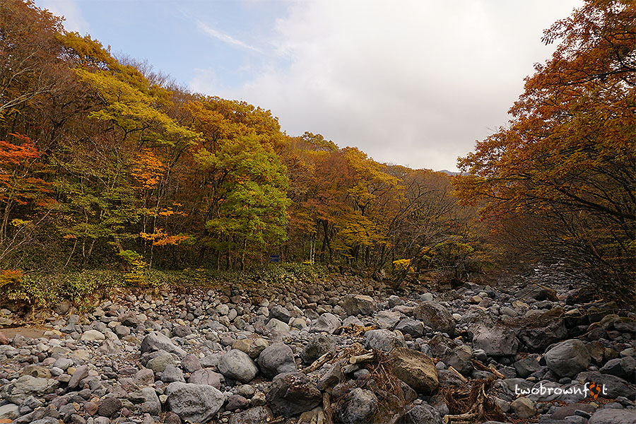 72